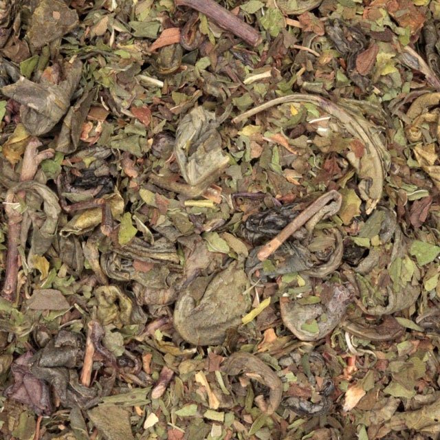 Amazighrose Moroccan Mint Tea - Amazighrose