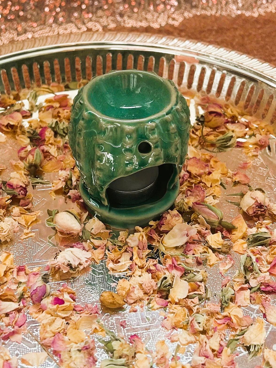 Cactus Oil-Burner Wax Warmer - Amazighrose