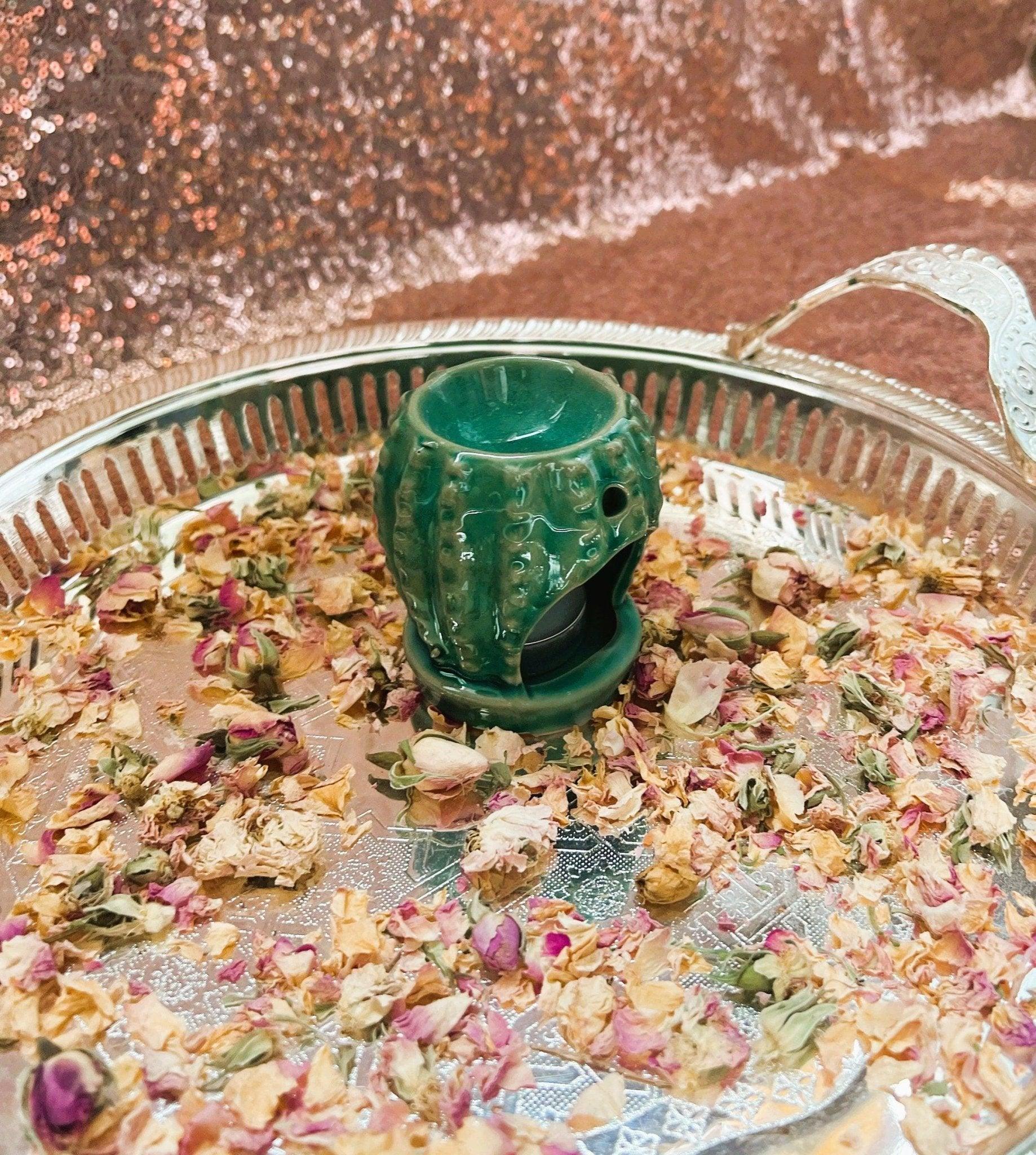 Cactus Oil-Burner Wax Warmer - Amazighrose