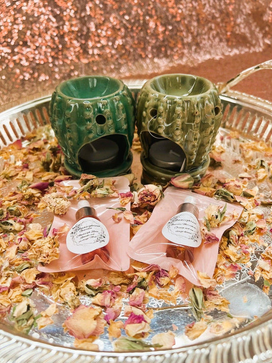 Cactus Oil-Burner Wax Warmer - Amazighrose